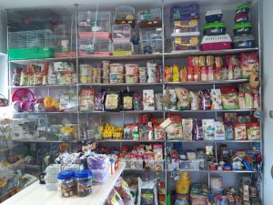 Resized 20200612 113535