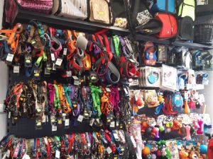 Resized 20200612 113611