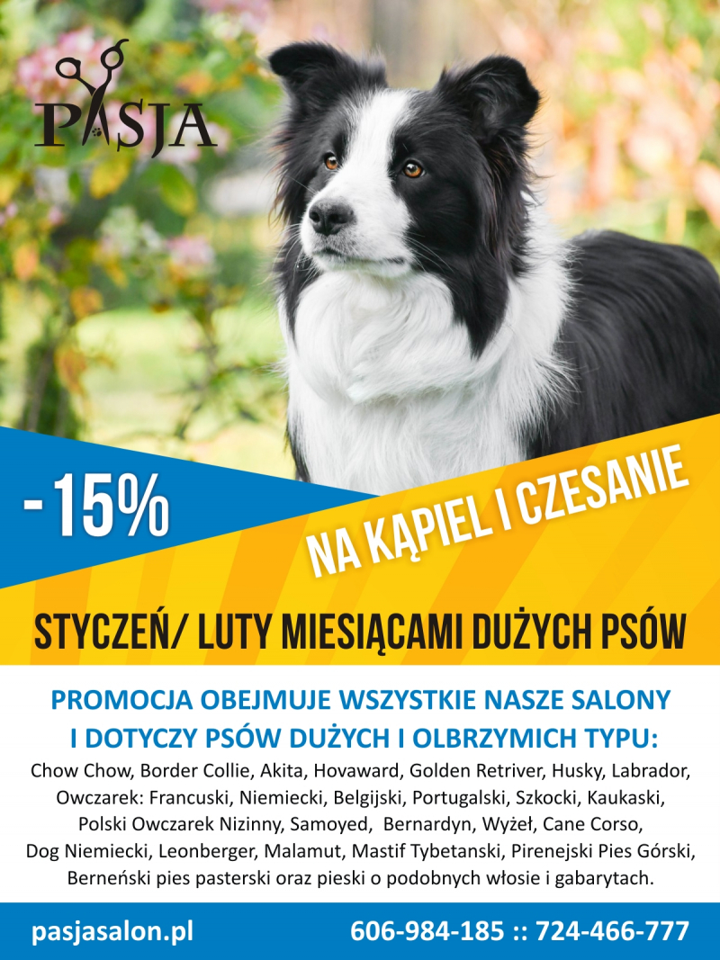 Promocja na kąpiel i czesanie